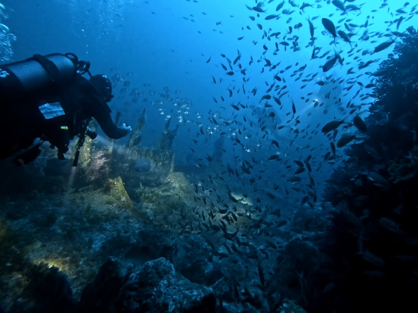 Le Lavandou - Epaves